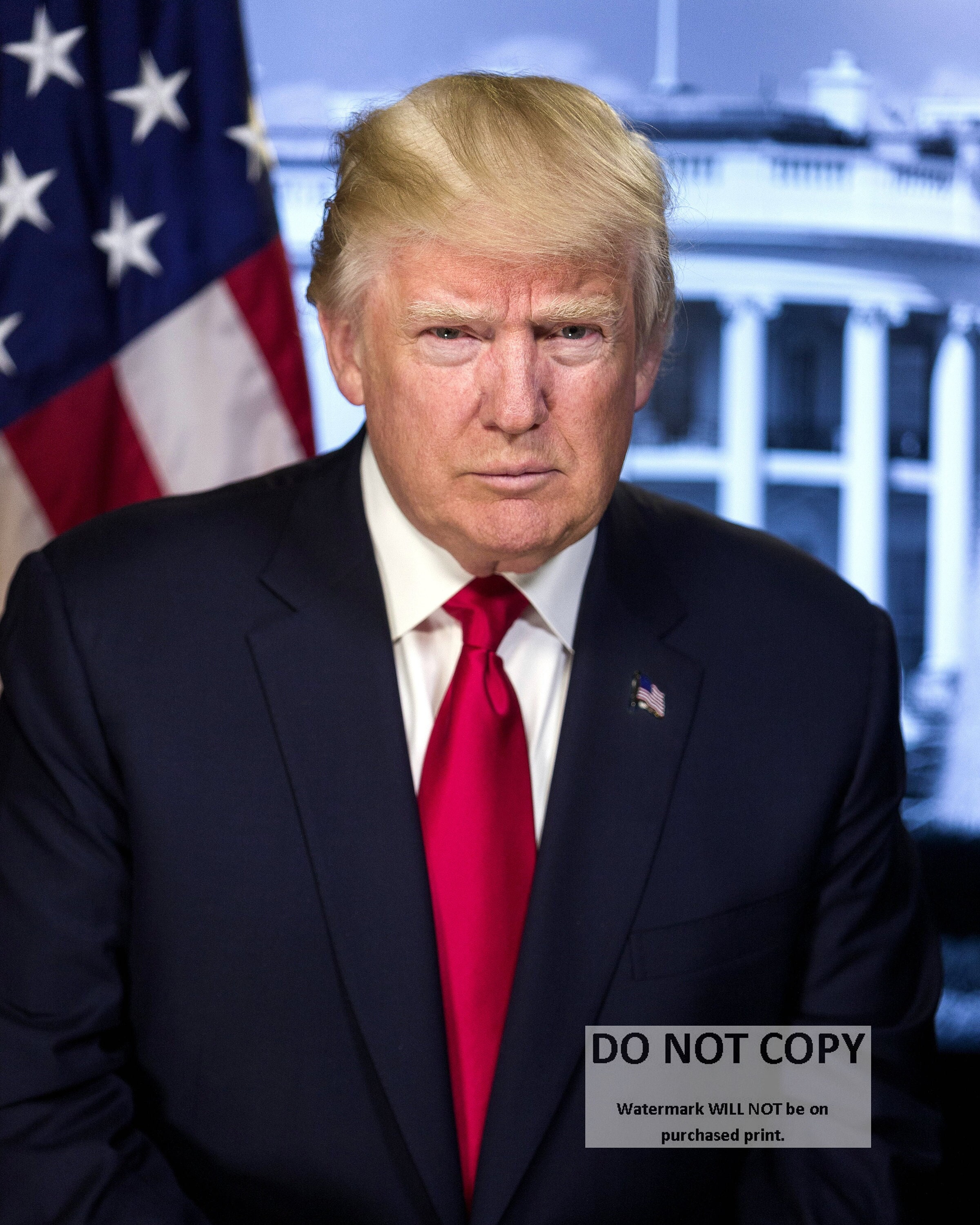 Donald J. Trump 45th and 47th President of the United States - 5X7, 8X10 or 11X14 Photo (ZY-736)