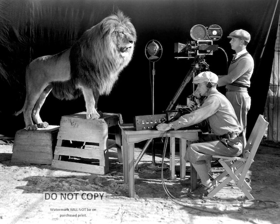 MGM Leo the Lion Filming Photo: 1928 Movie Mascot - Etsy