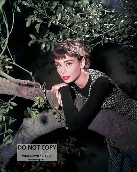 Audrey Hepburn in the 1954 Film "sabrina" - 5X7, 8X10 or 11X14 Publicity  Photo (FB-209) - Etsy