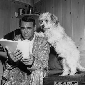 Cary Grant Reviews Script with Dog's Paws on His Shoulder - 5X7, 8X10 or 11X14 Photo (ZZ-309)