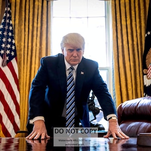 President Donald Trump Leans on His Desk in the Oval Office - 5X7, 8X10 or 11X14 Photo (ZZ-928)