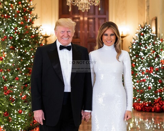 DONALD TRUMP Official Portrait 8x10 Print Photo United States President ...