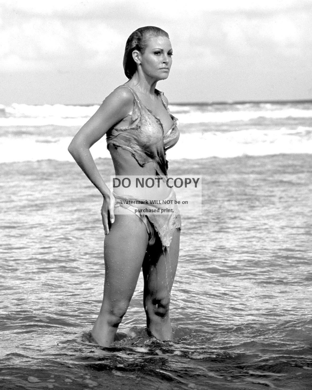 Raquel Welch in one Million Years B.c. 5X7, 8X10 or 11X14 Publicity