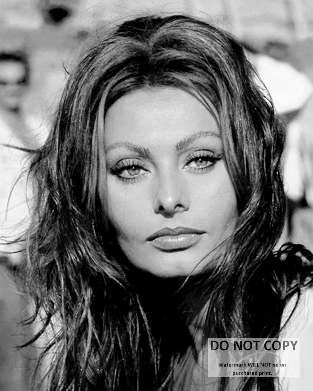 Sophia Loren Legendary Actress - 5X7 or 8X10 Publicity Photo (FB