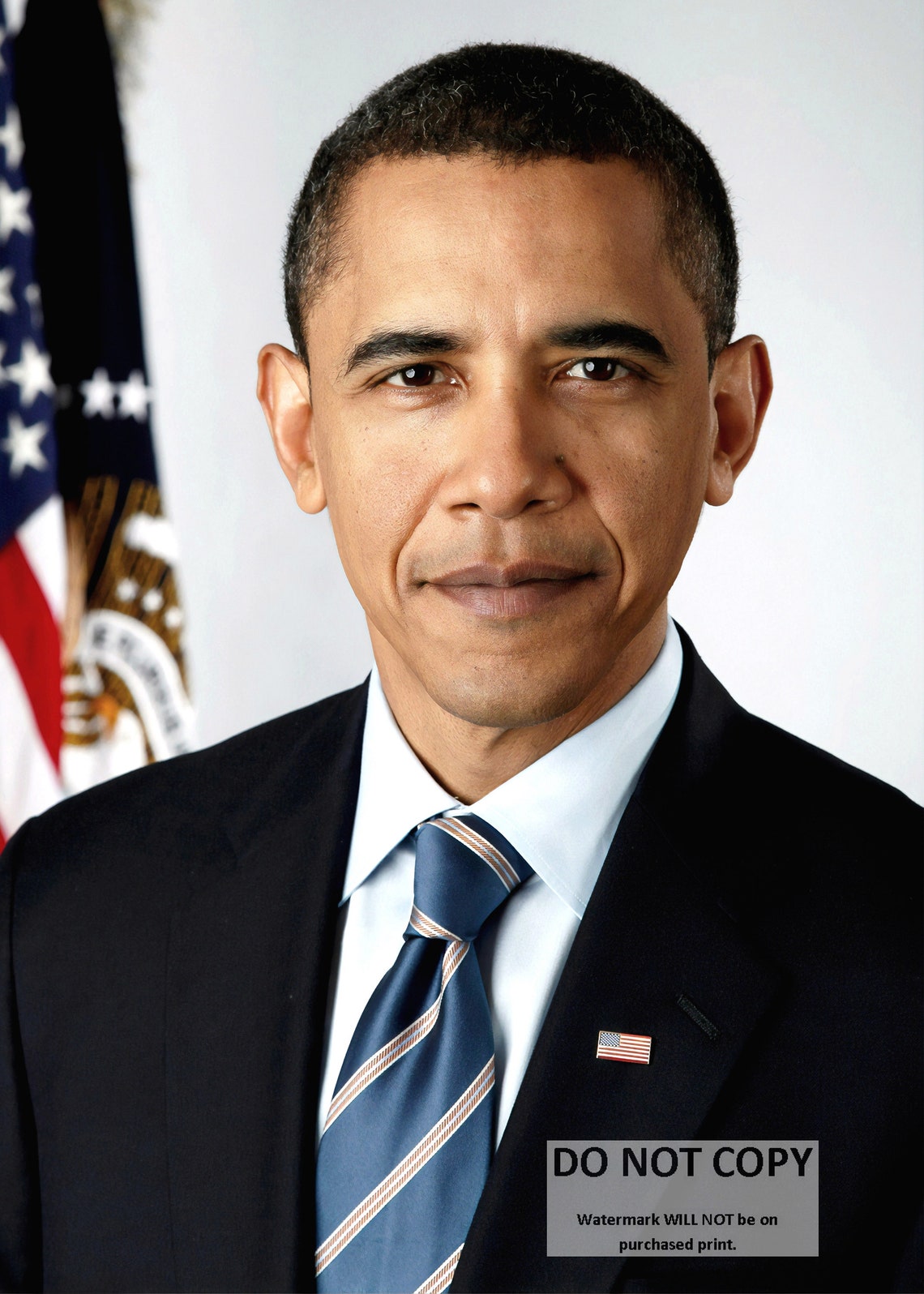 President Barack Obama Official Portrait - 5X7, 8X10 or 11X14 Photo (AA ...