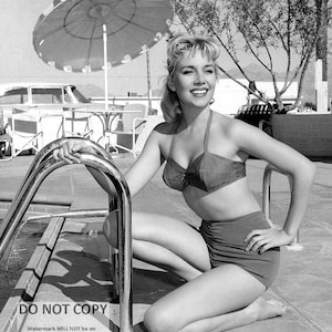 Sally Todd Actress and Model Pin Up - 5X7, 8X10 or 11X14 Publicity Photo (FB-818)