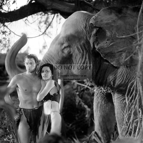 Johnny Weissmuller and Maureen O'Sullivan in the Film "Tarzan and His Mate" - 8X10 or 11X14 Publicity Photo (AB-053)