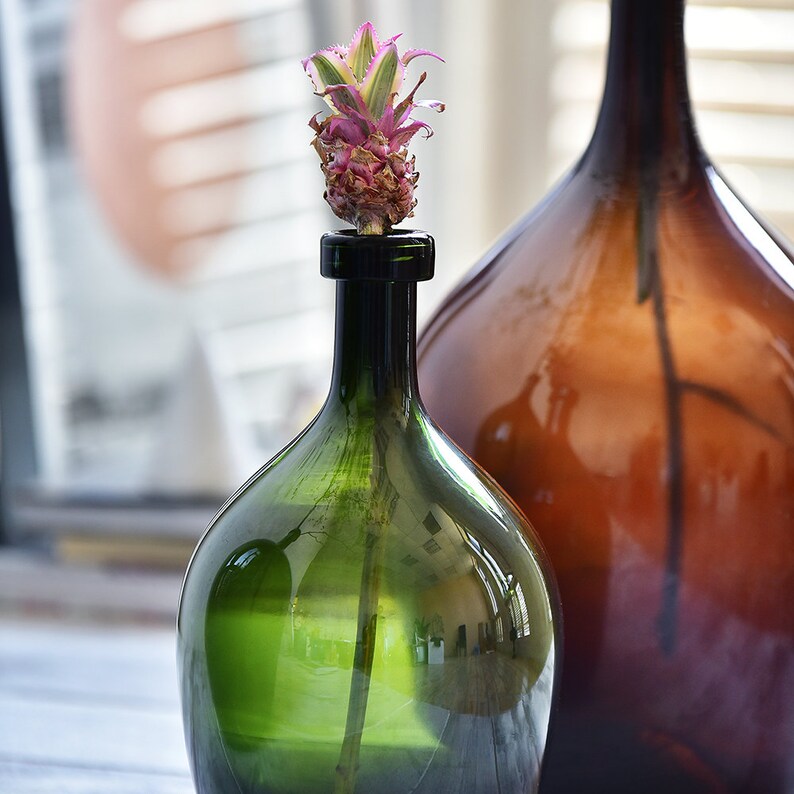 Recycled Glass Jug Vaseamber Jar Glass Vase Hololulu Brown Etsy