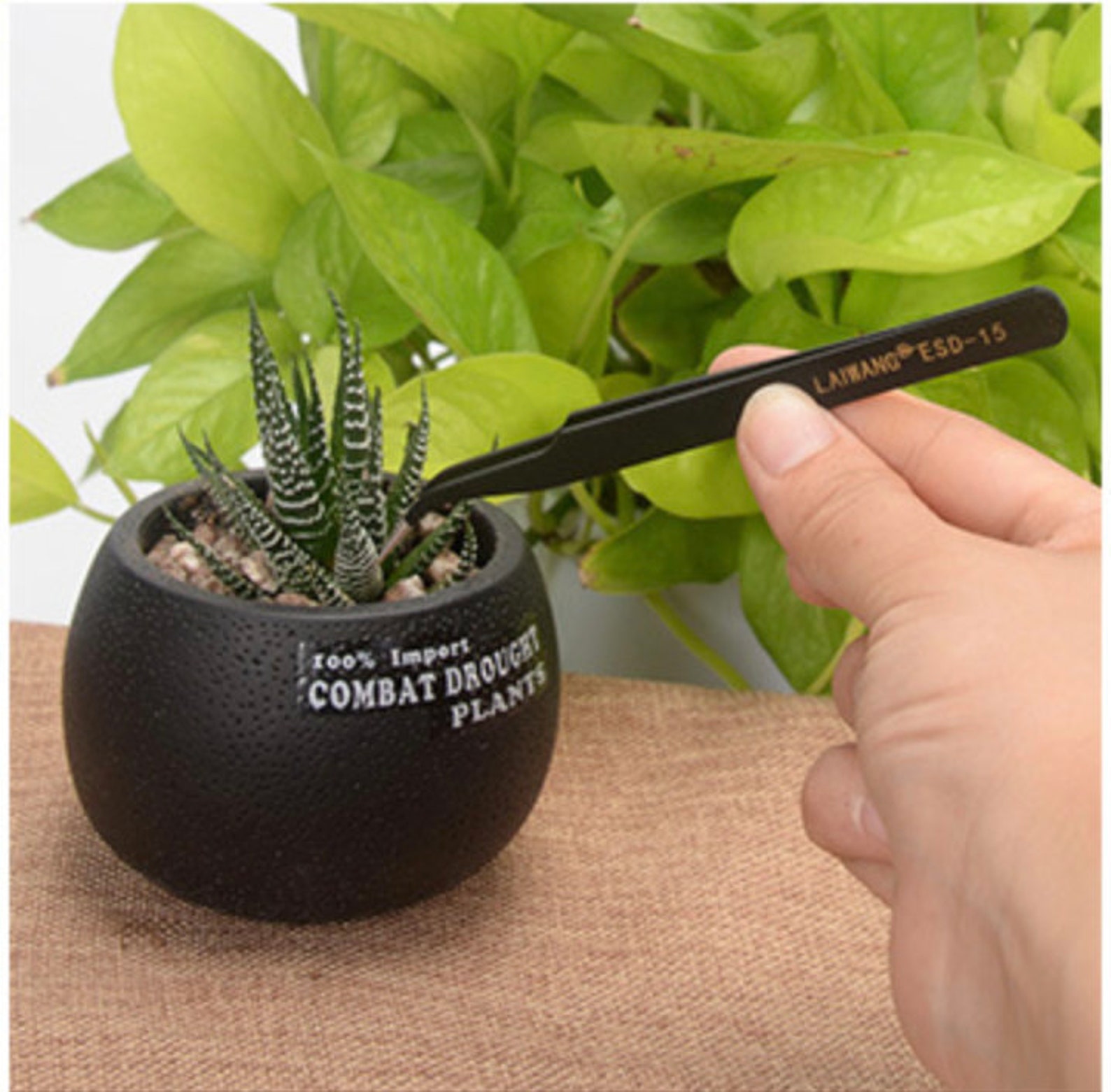 Succulent Terrarium Tool Kit 14 Pcs small gardening tool set Etsy