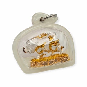 Thai amulet phaya moo bundarnchoke attracted wealth lucky fortune Lp Whan Wat Klongkoon Trimath 58 genuine authentic Thai blessed amulet