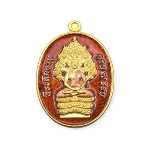 Thai amulet Phra Nakprok 7 Rob Lp Pong Wat Jang Lucky Buddha Charm Pendant Protection Wealth Genuine Authentic Holy Blessed Waterproof case