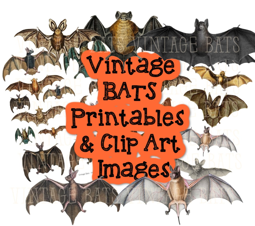 VINTAGE BAT BUNDLE Printable Pages With & Without Edge for Ephemera ...
