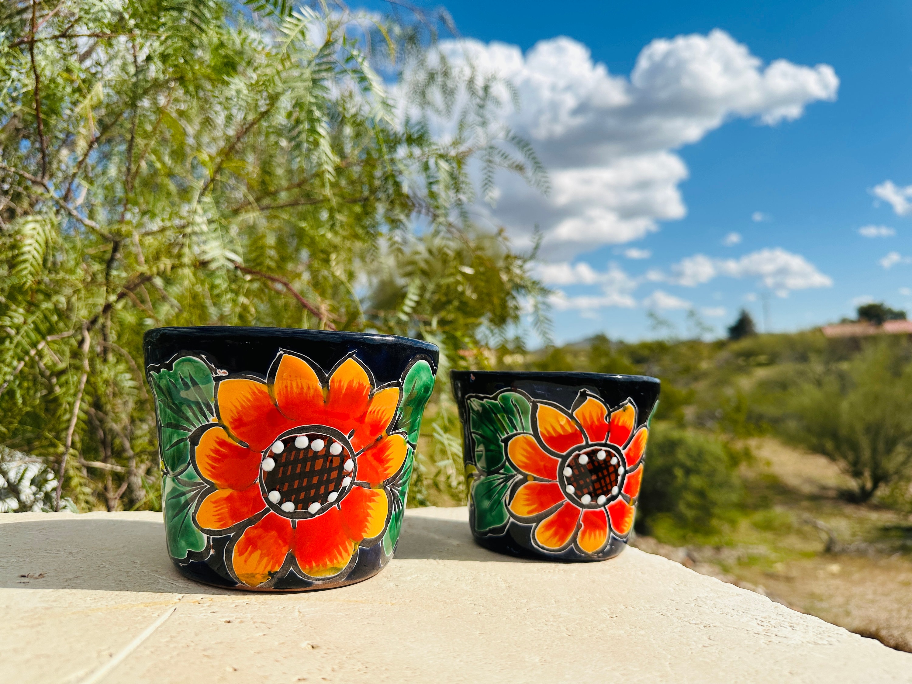 フラワー・ガーデニング MUD N DUST THE BOWL 