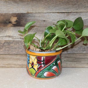 May include: A small, round ceramic planter featuring a vibrant, multi-colored hand-painted floral pattern in shades of orange, red, yellow, blue, and green. A green pothos plant with trailing leaves is potted inside the glossy, glazed container.