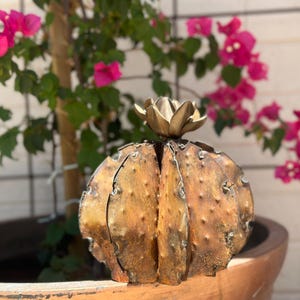 Handcrafted Rustic Blooming Barrel Cactus Arizona Desert Cactus Mexican Metal Yard Art Rustic Yard Art