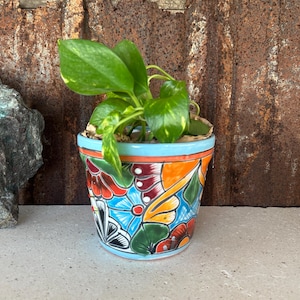 May include: A colorful, hand-painted ceramic flower pot with a vibrant floral design in blue, orange, red, and green. The pot contains a green leafy plant. The pot is sitting on a light gray surface with a rusty metal background.