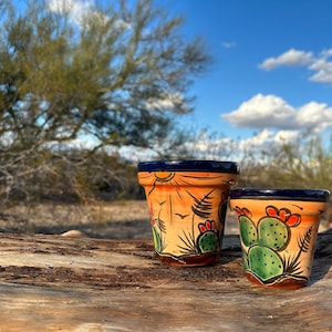 May include: Two hand-painted ceramic pots with a desert theme. The pots feature a tan base with a blue rim and are decorated with cacti, sun, and bird designs in orange, green, and black. They sit on a weathered wooden surface.
