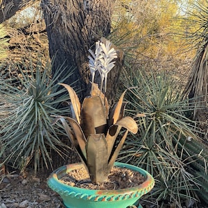 Rusty Metal Blooming Agave Arizona Desert Cactus Handmade Hand Painted Metal Yard Art