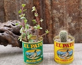 El Pato Cans Festive Party Wedding Decor Table Displays for Succulents Cactus Candy