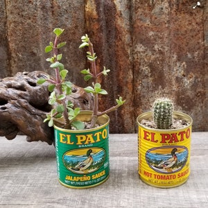 El Pato Cans Présentoirs de table pour décoration de mariage, fête des fêtes, succulentes cactus, bonbons