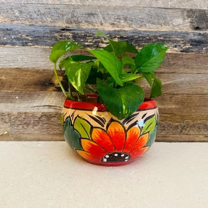 May include: A colourful, hand-painted ceramic plant pot with a large red and orange flower design and green leaves. The round pot contains a lush green plant with heart-shaped leaves. The background is a rustic wooden surface.