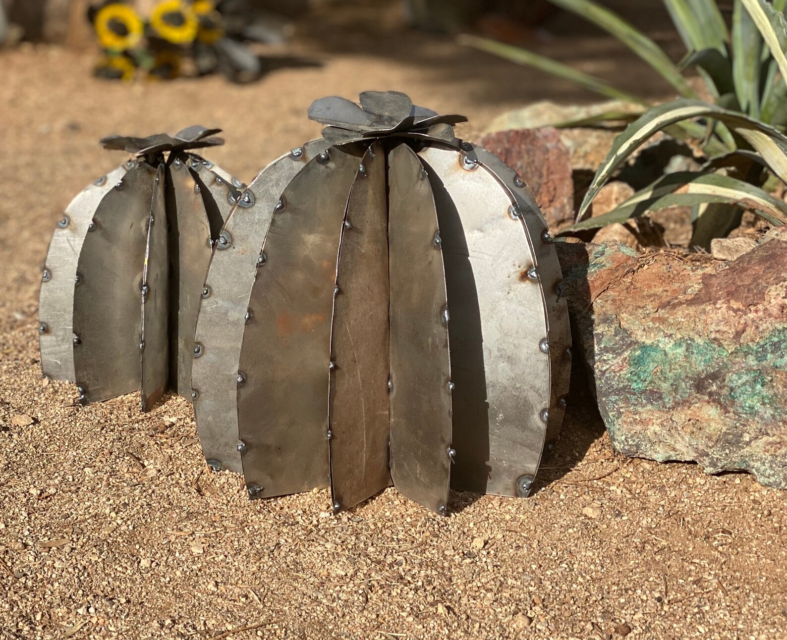 Rustic Blooming Metal Barrel Cactus Arizona Desert Cactus Etsy