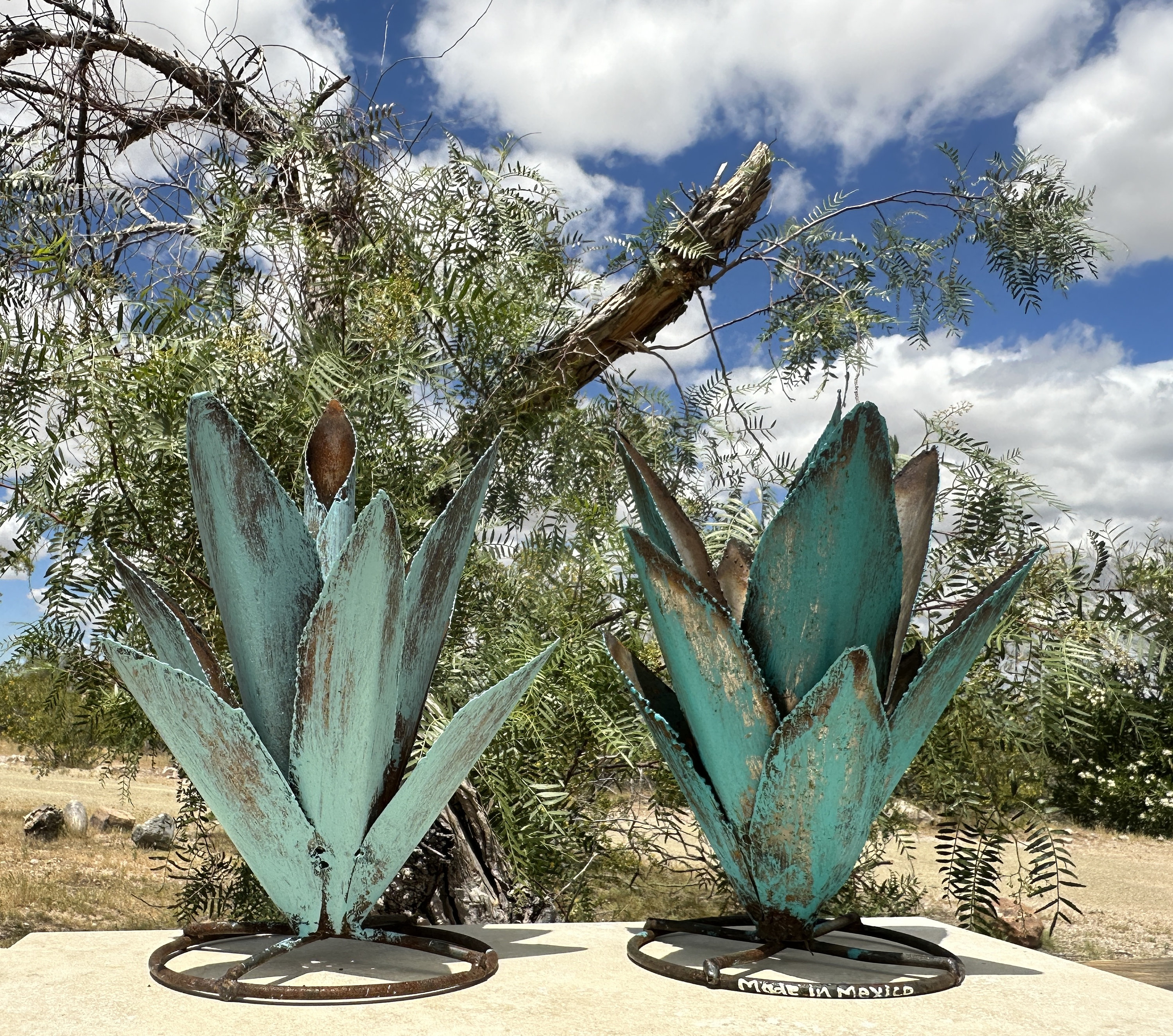 Rustic Hand Painted TINY MINI Metal Agave Arizona Landscape Desert Cactus  Metal Yard Art - Etsy Israel