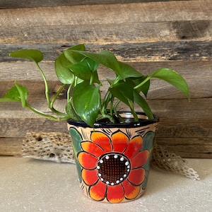 May include: A ceramic planter featuring a hand-painted orange and red sunflower design with green leaves on a cream background, containing a green pothos plant with heart-shaped leaves. The pot has a dark blue rim and a tapered cylindrical shape.
