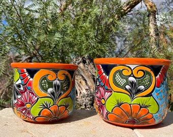 Hand Painted Planter | Botanical Sage | Terracotta Pot Hand Painted Planter | Botanical Sage | Terracotta Pot