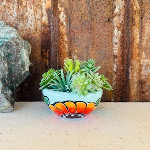 May include: A small, light blue ceramic planter with a hand-painted floral design in orange and red, filled with assorted green succulents. The planter is set against a textured, rusty brown background.