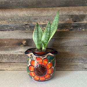 May include: A ceramic planter with a scalloped rim featuring a hand-painted orange sunflower design with green leaves and small white flowers, containing a green and silver variegated snake plant with three upright, pointed, sword-shaped leaves.