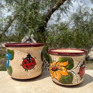 May include: Two ceramic planters with hand-painted designs. One features a ladybug and blue flowers, the other an orange flower and ladybug. Both have a tan base, burgundy rims, and green leaves.