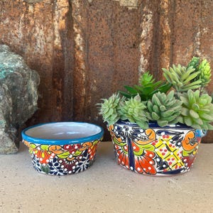 May include: Two small, hand-painted ceramic bowls with colourful floral designs. One bowl is empty, while the other contains green succulents. The bowls have a blue rim and are set against a rustic, textured background.