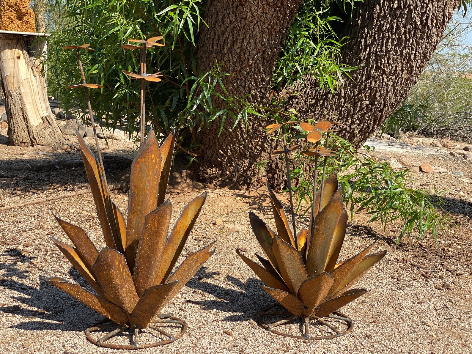 Rusty Metal Agave Arizona Landscape Desert Cactus Metal Yard Etsy