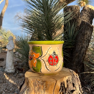 May include: A hand-painted ceramic planter with a green rim, featuring a yellow flower and a red ladybug with black spots. The planter is sitting on a tree stump.