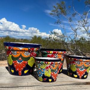 Flawed Discounted Handcrafted Talavera Clay Planter Pot Colorful Hand Painted Mexican Clay Pottery