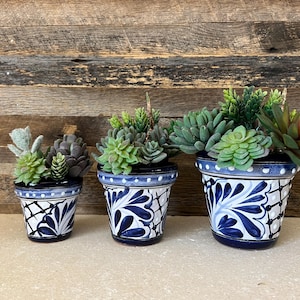 Talavera Pottery Succulentenpotten: set van 3 handgemaakte Mexicaanse plantenbakken