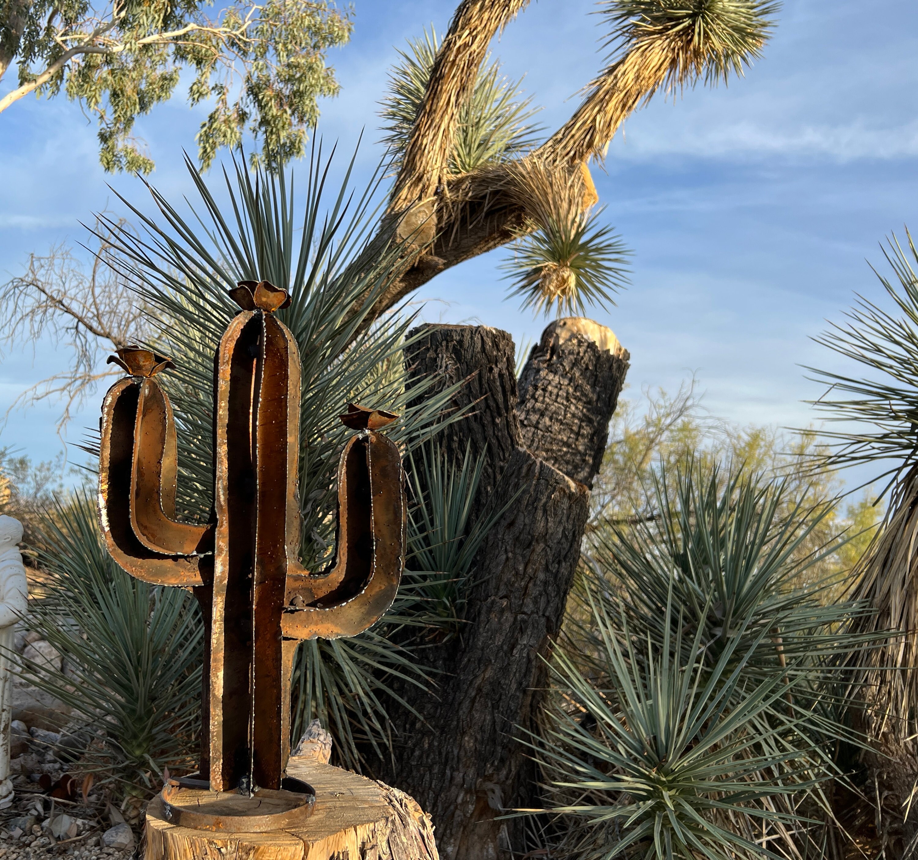 MINI SMALL Rustic Saguaro Cactus Mini Small Desert Cactus Metal Yard Art  Desert Cactus - Etsy Finland
