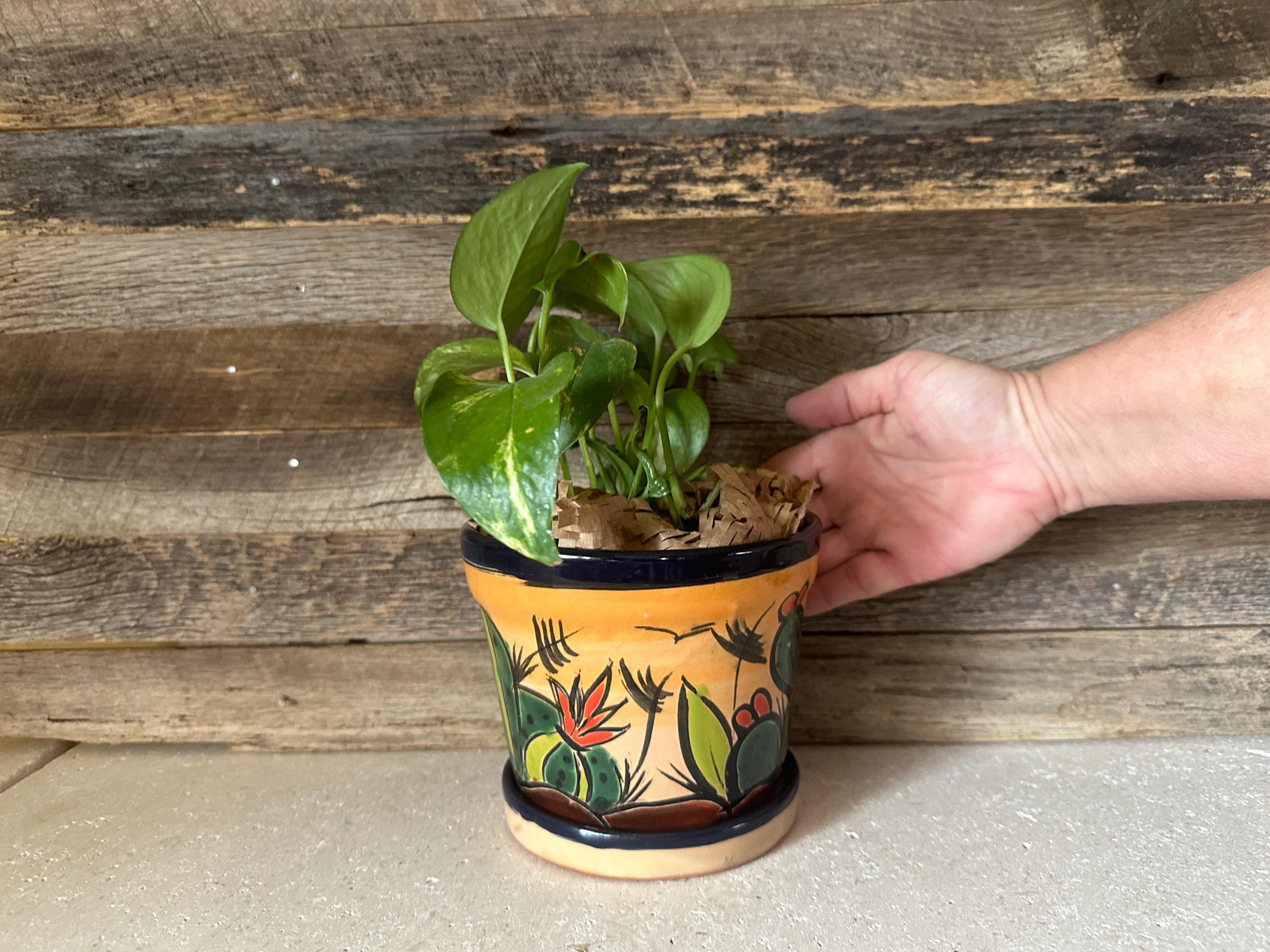 Handcrafted Talavera Style MINI SMALL Pot: Hand Painted Desert