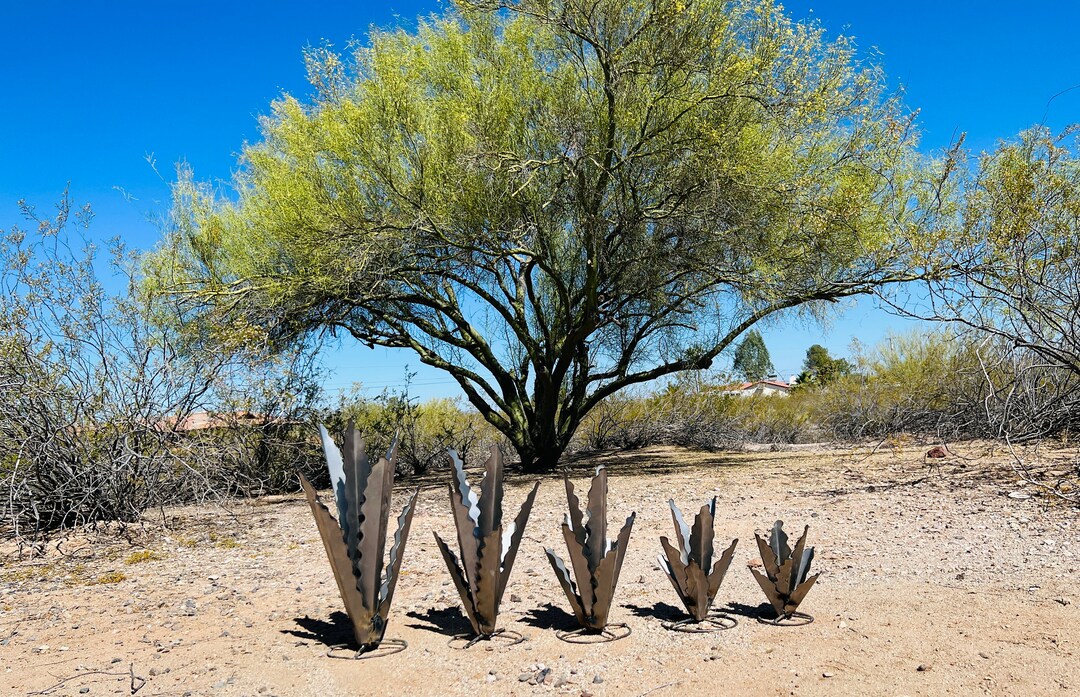 CLEARANCE Rustic and Rusty Metal Agave Yard Art Arizona Landscape Art