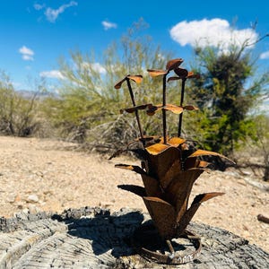 Rustic Metal Agave Sculpture: Handcrafted Arizona Desert Yard Art