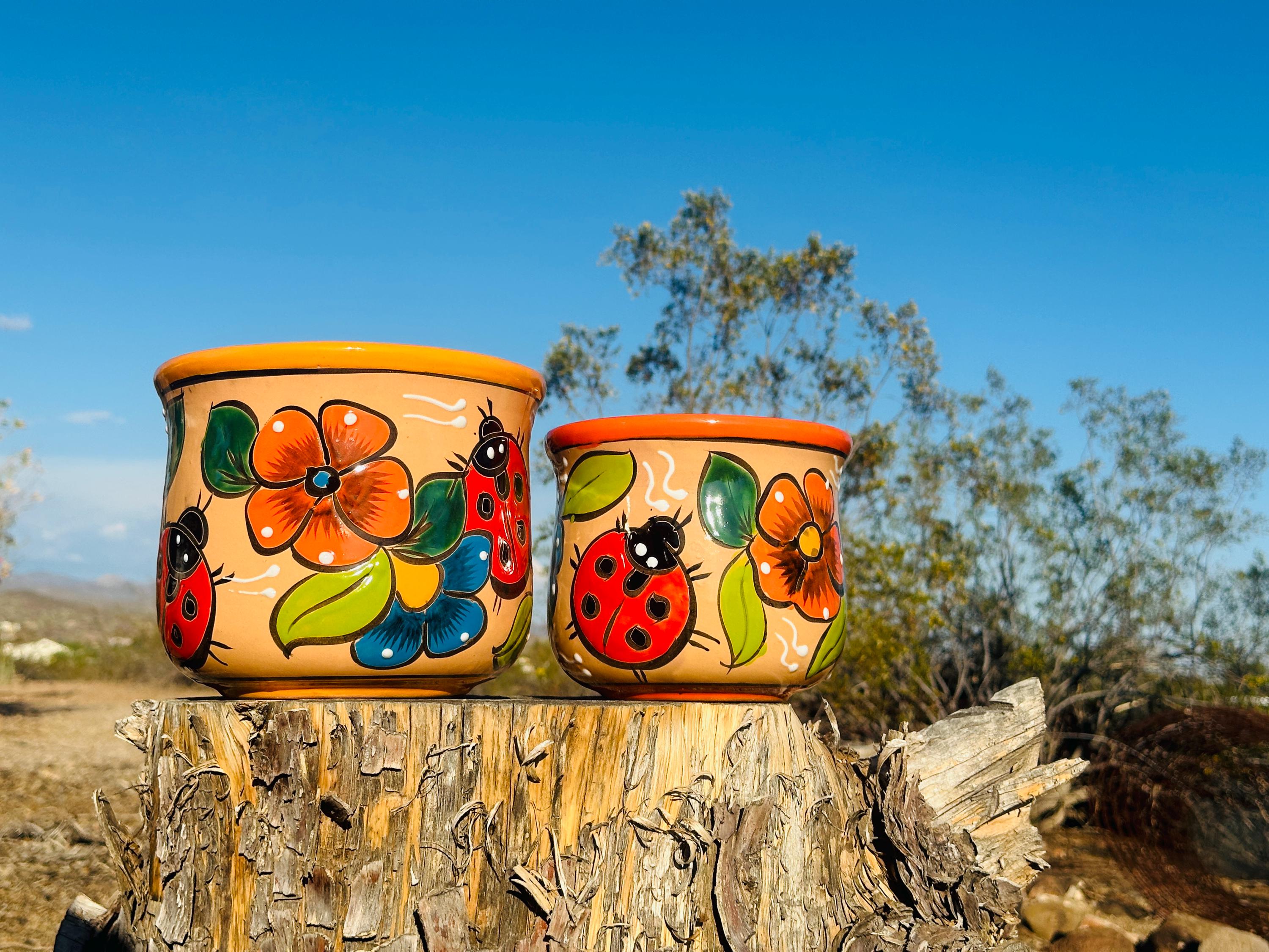 Realistic Festooning in Total Prosthesis, image size:3000x2250