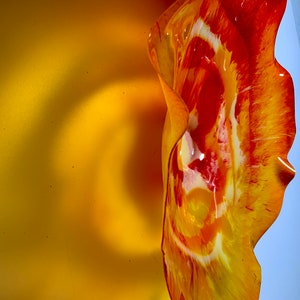 Decoración del hogar de flores de pared de plástico reciclado hecho a mano CoralREEFlections arte de pared 15" naranja quemado/amarillo/regalo único/Ocean Arts/parece vidrio