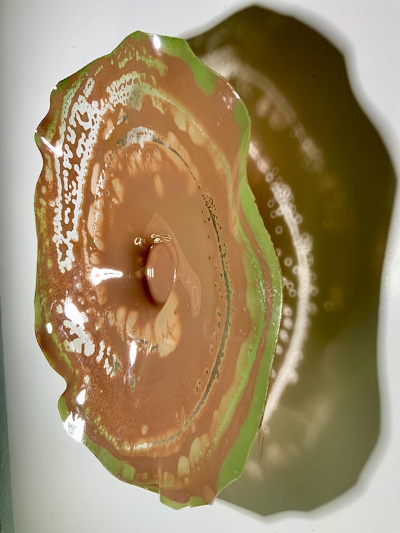 Earth tones Original Ocean Arts handmade eco friendly plastic/floral wall hanging tan/green small 9” looks like glass/boho beach home decor