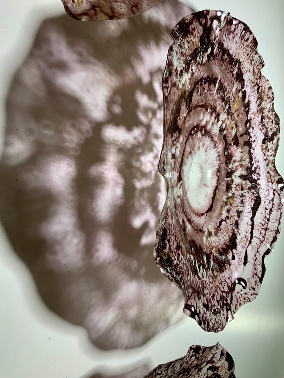 Upcycled Plastic Wall Flower Sculpture Set: Brown, White, Burgundy Indoor/Outdoor Decor