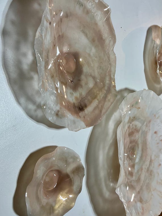 Set of 5 blush pink, rose gold & neutral sand Wallflowers | Recycled Polymer Handmade Glass-Effect Decor