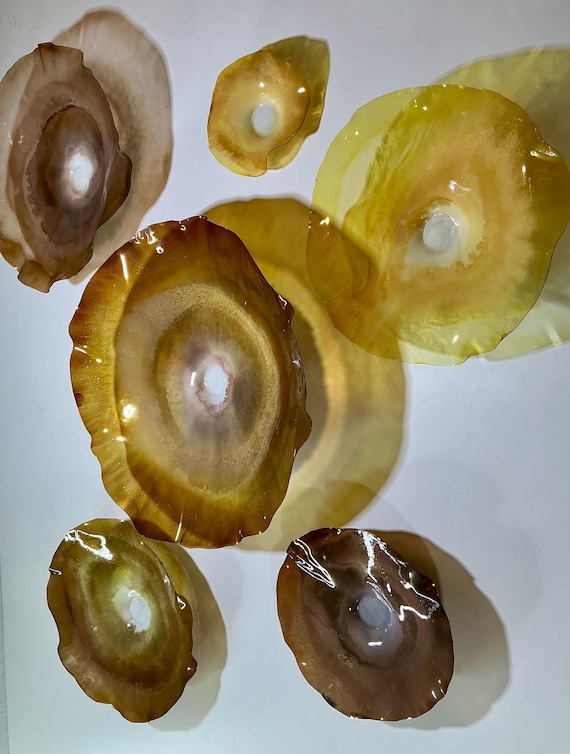Handmade amber & amber brown Wallflowers | Set of 6 | Elegant up cycle polymer- Decor for Your Home