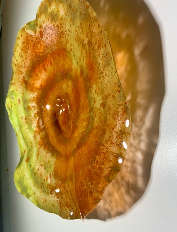 Recycled Plastic Wall Flower: lemon grass green & Terracotta orange Eco-Friendly Art