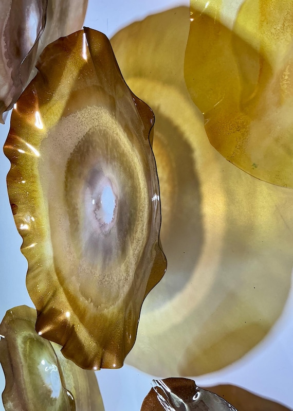 Handmade amber & amber brown Wallflowers | Set of 6 | Elegant up cycle polymer- Decor for Your Home