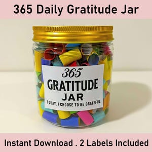 365 Daily Gratitude Jar, Printable Affirmations, Self Care, Mental Health, Reflections, Affirmation Jar, DIY Gift, Inspirational, Happiness